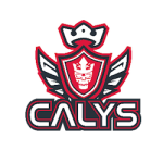 RF CALYS